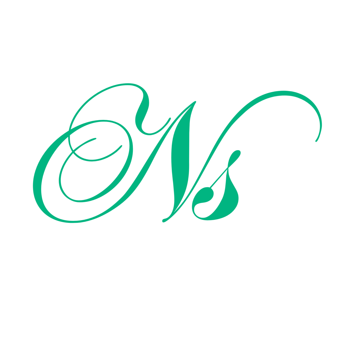 Logo Native santé